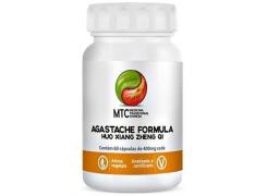 Agastache Formula - Huo Xiang Zheng QI Com 60 Cápsulas Vitafor